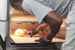 Fresh Rise Again Bread